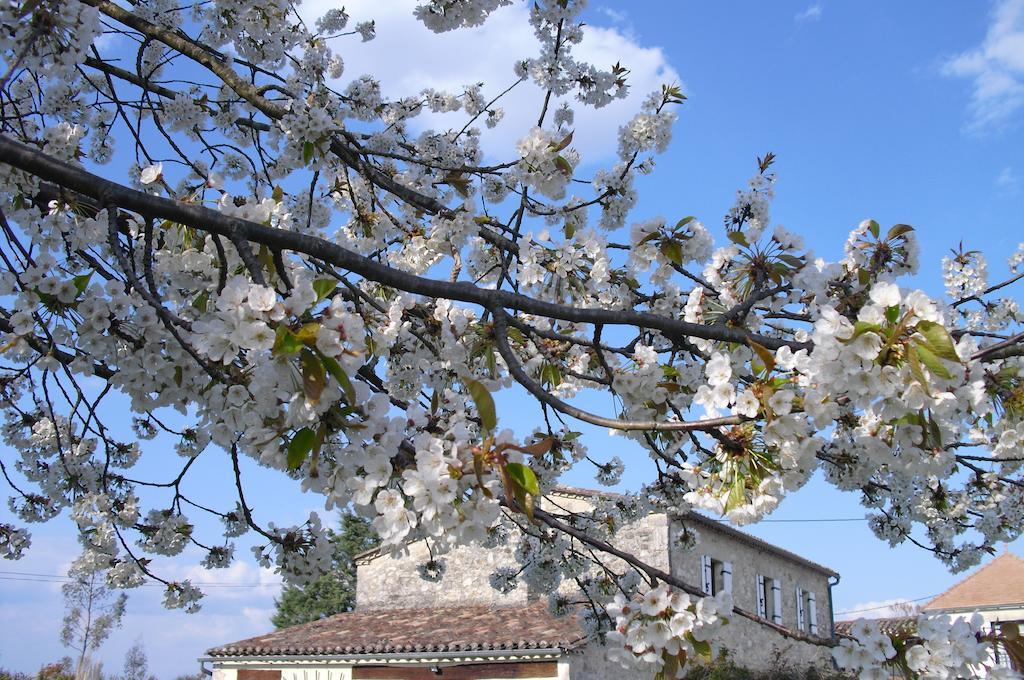 Luxury B&B Maison A Votre Sante, In Bordeaux Wine Region Savignac-de-Duras Bagian luar foto